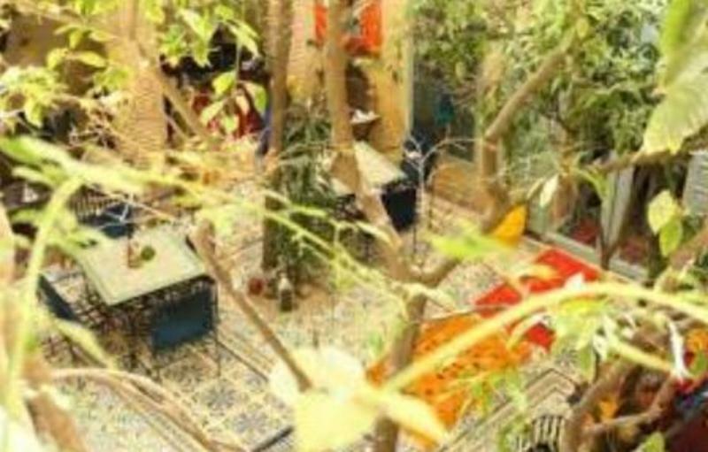 Riad Les Jardins De Kesali Marrakesh Bagian luar foto